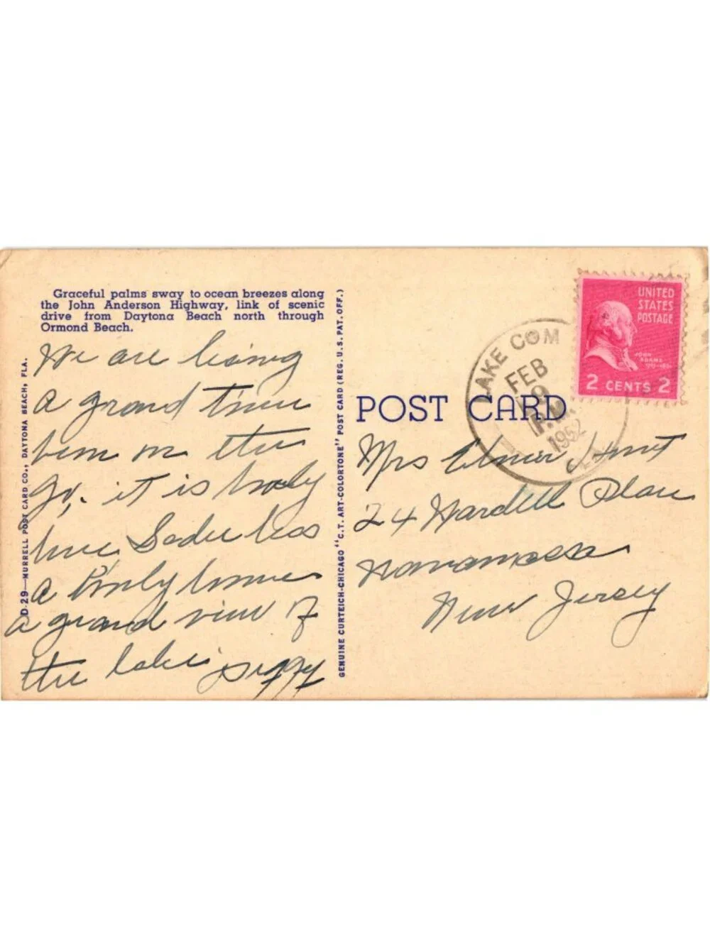 Beautiful Palm Drive John Anderson Highway Ormond Beach Fla. Linen 1952 Scenic